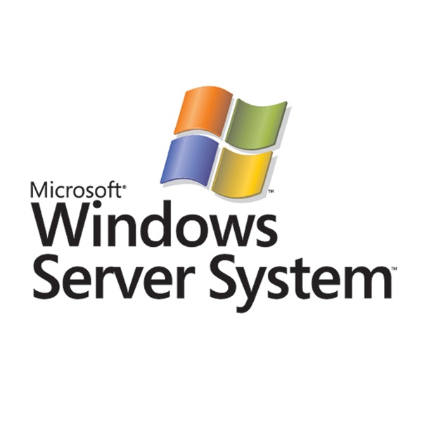 Advantages of Using a Windows Server for Your Business