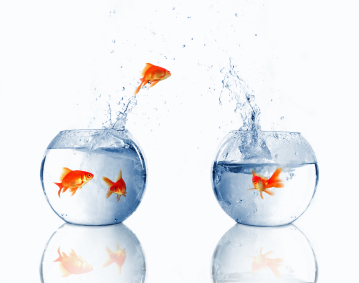 Migrate Data and Personal Files