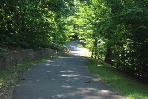 "Live, Work, Play" - One of the MANY paths and open spaces in Reston